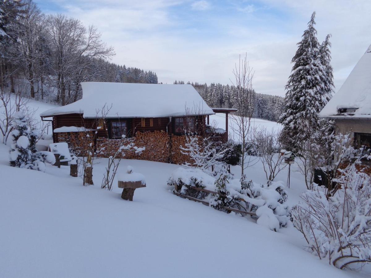 Ferienhaus Sachse Vila Pockau Exterior foto